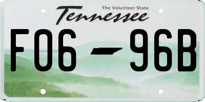TN license plate F0696B