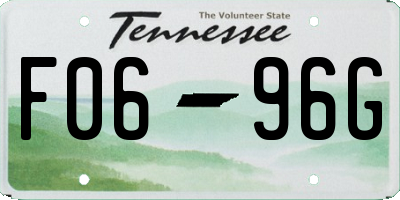 TN license plate F0696G