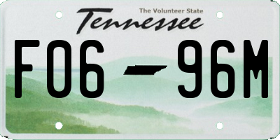 TN license plate F0696M