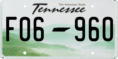 TN license plate F0696O