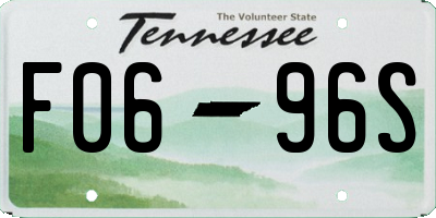 TN license plate F0696S