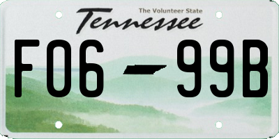 TN license plate F0699B