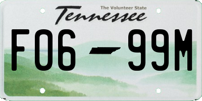 TN license plate F0699M