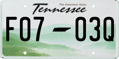 TN license plate F0703Q