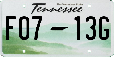 TN license plate F0713G