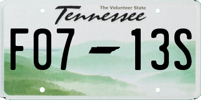 TN license plate F0713S