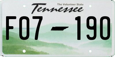 TN license plate F0719O