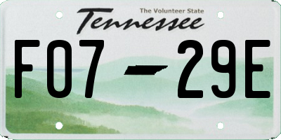 TN license plate F0729E