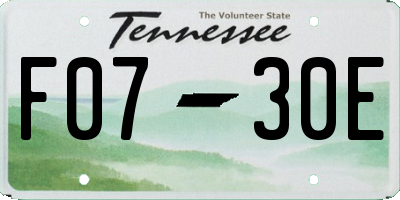 TN license plate F0730E