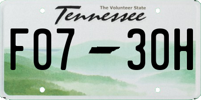 TN license plate F0730H