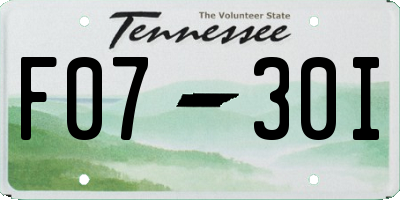 TN license plate F0730I