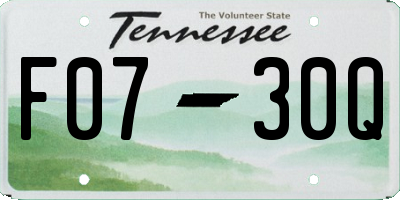 TN license plate F0730Q
