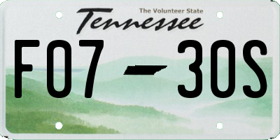 TN license plate F0730S