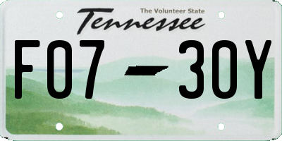 TN license plate F0730Y