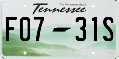 TN license plate F0731S