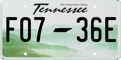 TN license plate F0736E