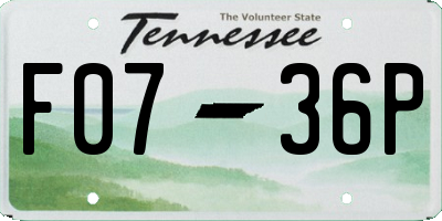 TN license plate F0736P