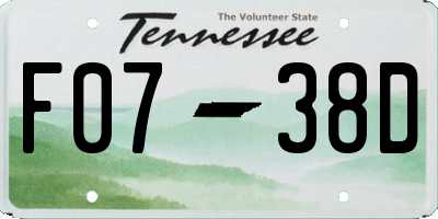 TN license plate F0738D