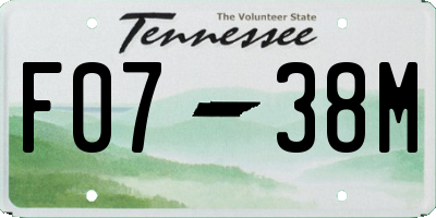 TN license plate F0738M