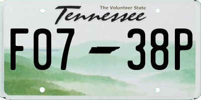 TN license plate F0738P