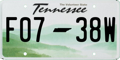 TN license plate F0738W