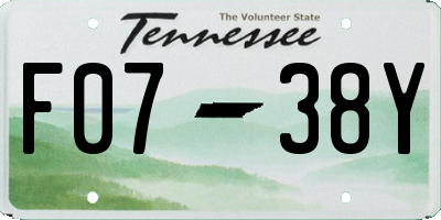 TN license plate F0738Y