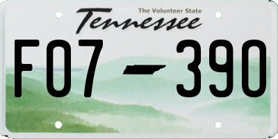TN license plate F0739O