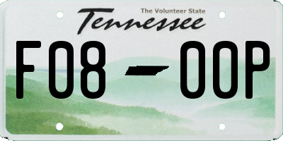 TN license plate F0800P