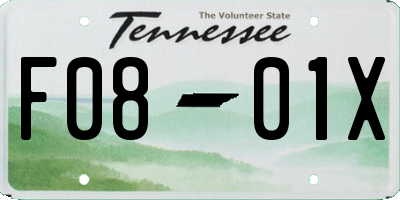 TN license plate F0801X