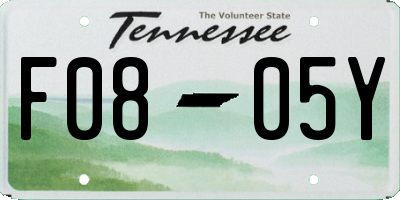 TN license plate F0805Y