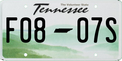 TN license plate F0807S