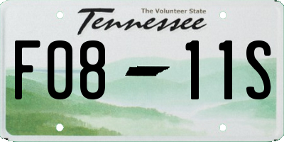 TN license plate F0811S