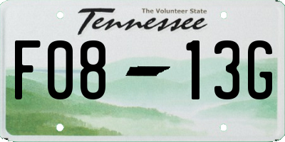 TN license plate F0813G