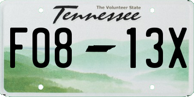 TN license plate F0813X