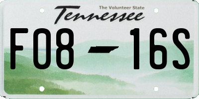 TN license plate F0816S