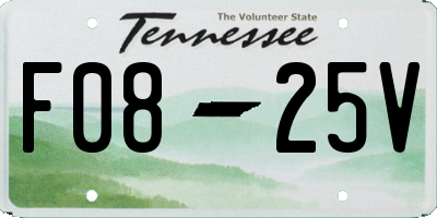 TN license plate F0825V