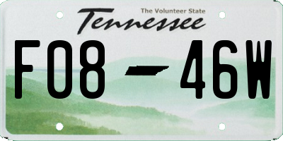 TN license plate F0846W