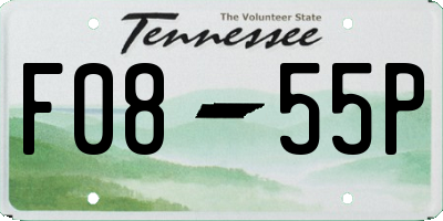 TN license plate F0855P