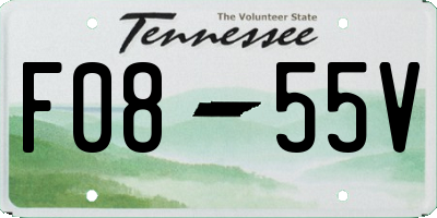TN license plate F0855V