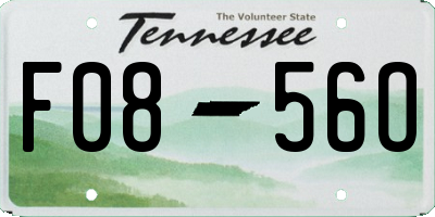 TN license plate F0856O