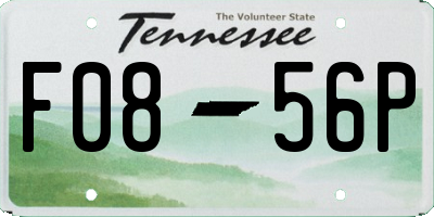 TN license plate F0856P