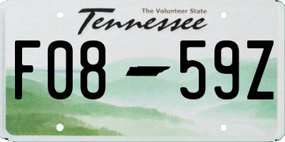TN license plate F0859Z
