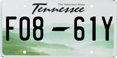 TN license plate F0861Y
