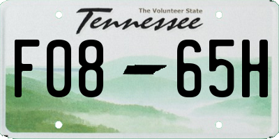 TN license plate F0865H