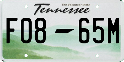 TN license plate F0865M