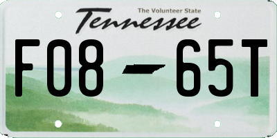 TN license plate F0865T