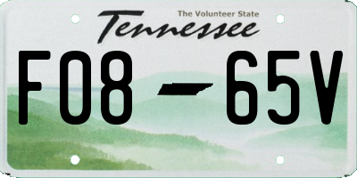 TN license plate F0865V