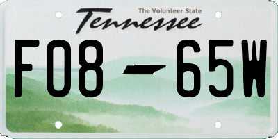 TN license plate F0865W