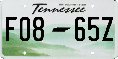 TN license plate F0865Z