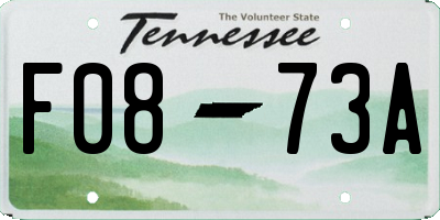 TN license plate F0873A
